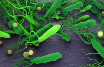 Leave Restrictions for Health Workers in Birgunj Amid Cholera Outbreak